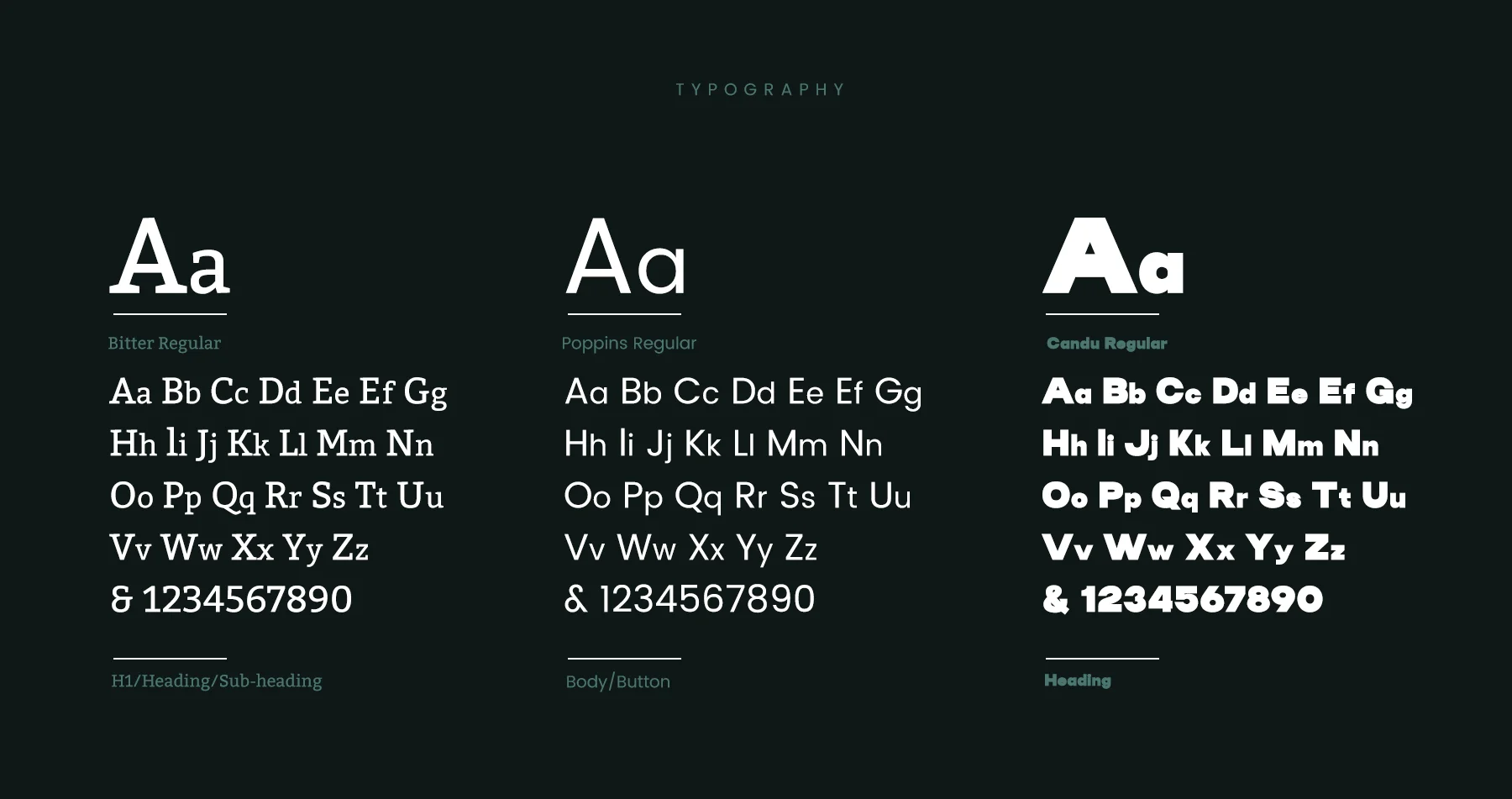 Regulated classroom typography