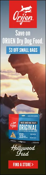 champion_display_ads_dogfood_160x600