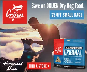 champion_display_ads_dogfood_300x250