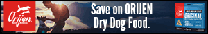 champion_display_ads_dogfood_300x50