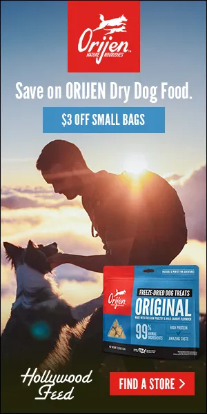 champion_display_ads_dogfood_300x600