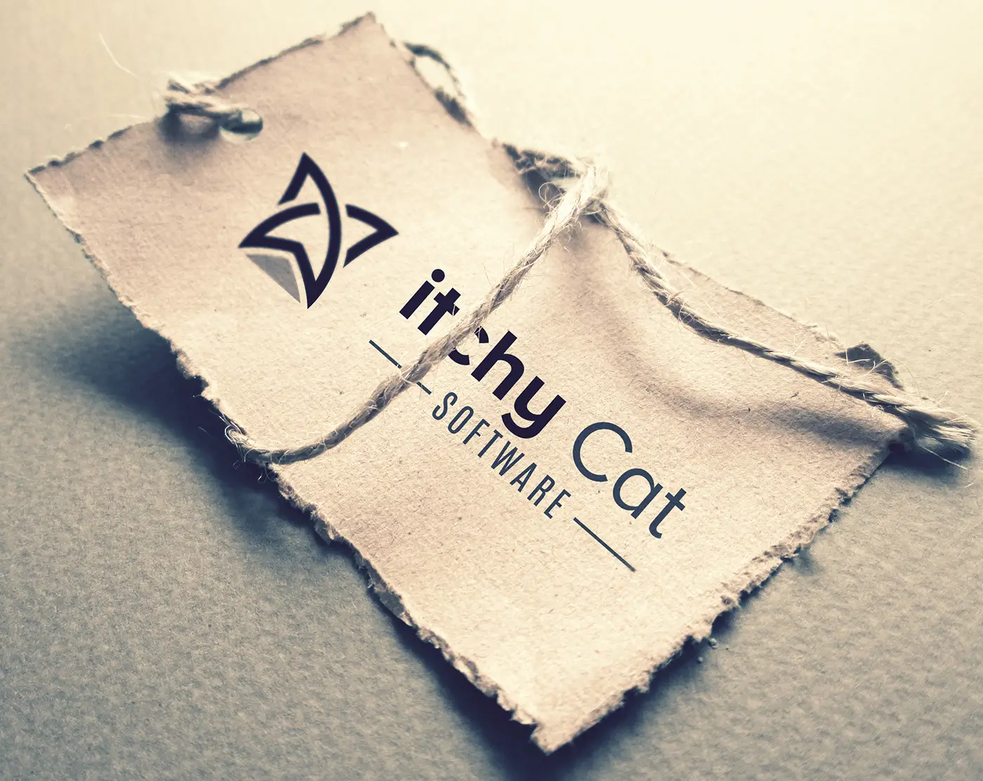 Itchy Cat Software Logo Design